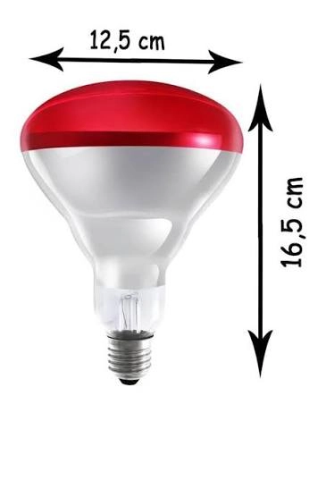 Ledvance 250W E27 Infrared Kızılötesi Isı Ampulü - Kırmızı- Porselen Duy Hediyeli