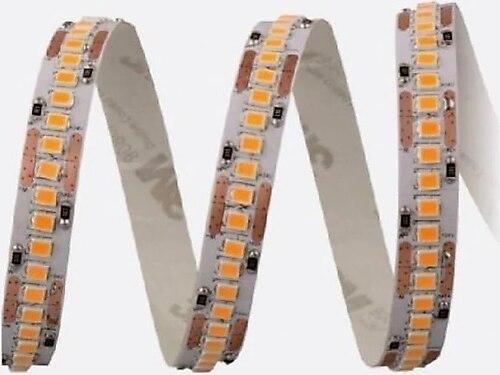 CATA CT-4538 GOLD 240 LEDLİ İÇ MEKAN ŞERİT LED (GÜNIŞIĞI) 3000K 5 METRE