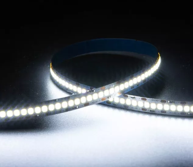 CATA CT-4538 GOLD 240 LEDLİ İÇ MEKAN ŞERİT LED (BEYAZ) 6500K 5 METRE