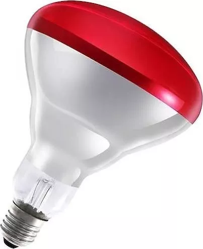 Ledvance 250W E27 Infrared Kızılötesi Isı Ampulü - Kırmızı- Porselen Duy Hediyeli